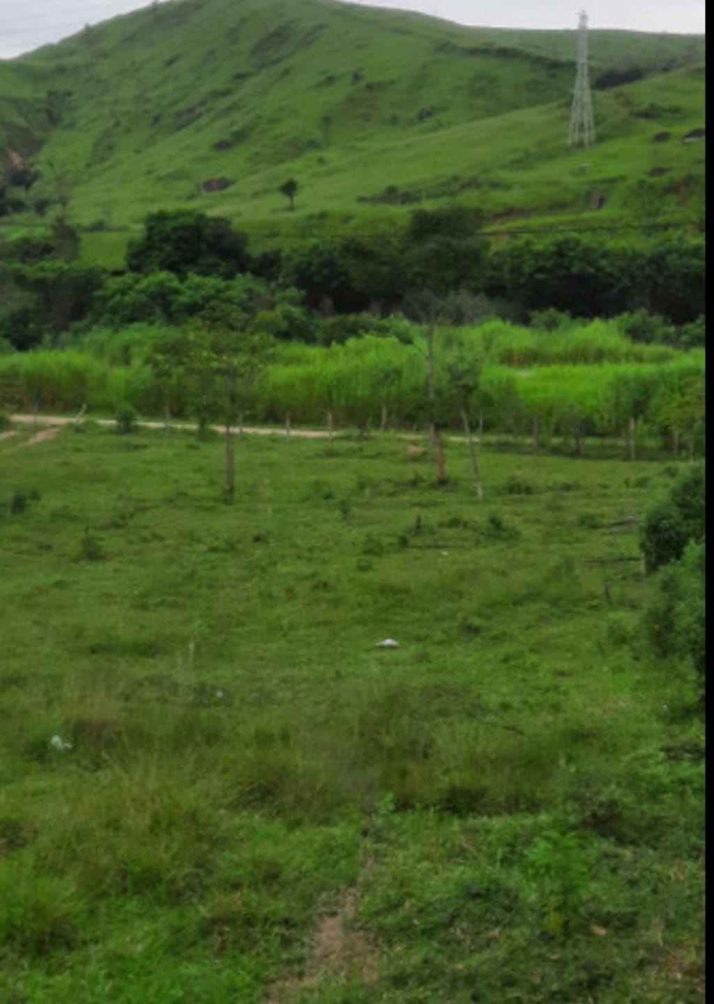 Terreno, 1 hectares - Foto 4