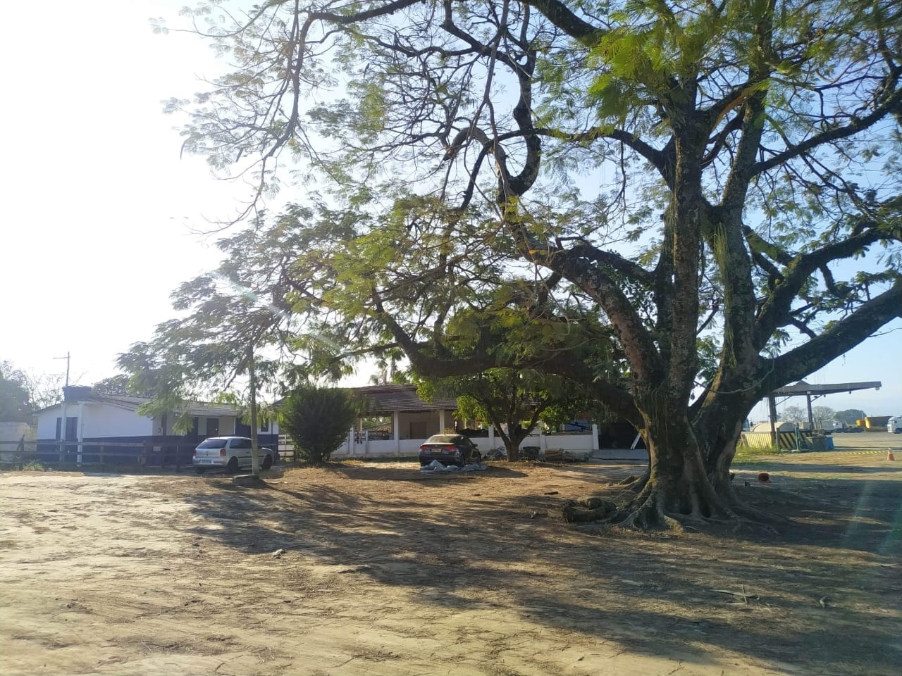 Terreno, 4 hectares - Foto 7