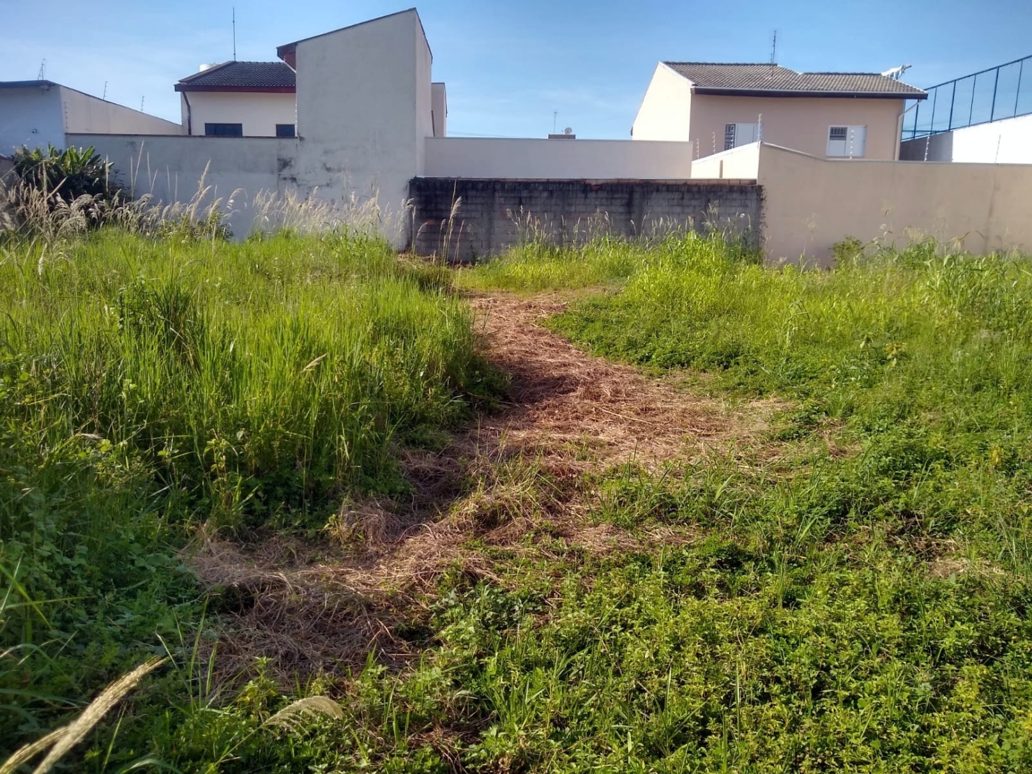 Terreno, 250 m² - Foto 7
