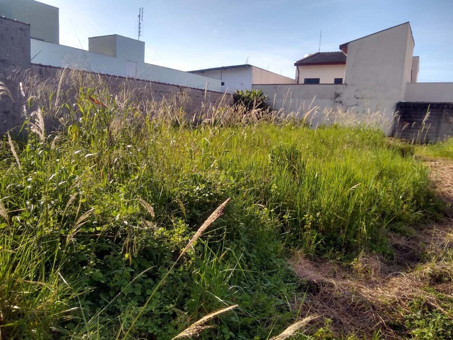 Terreno, 250 m² - Foto 7
