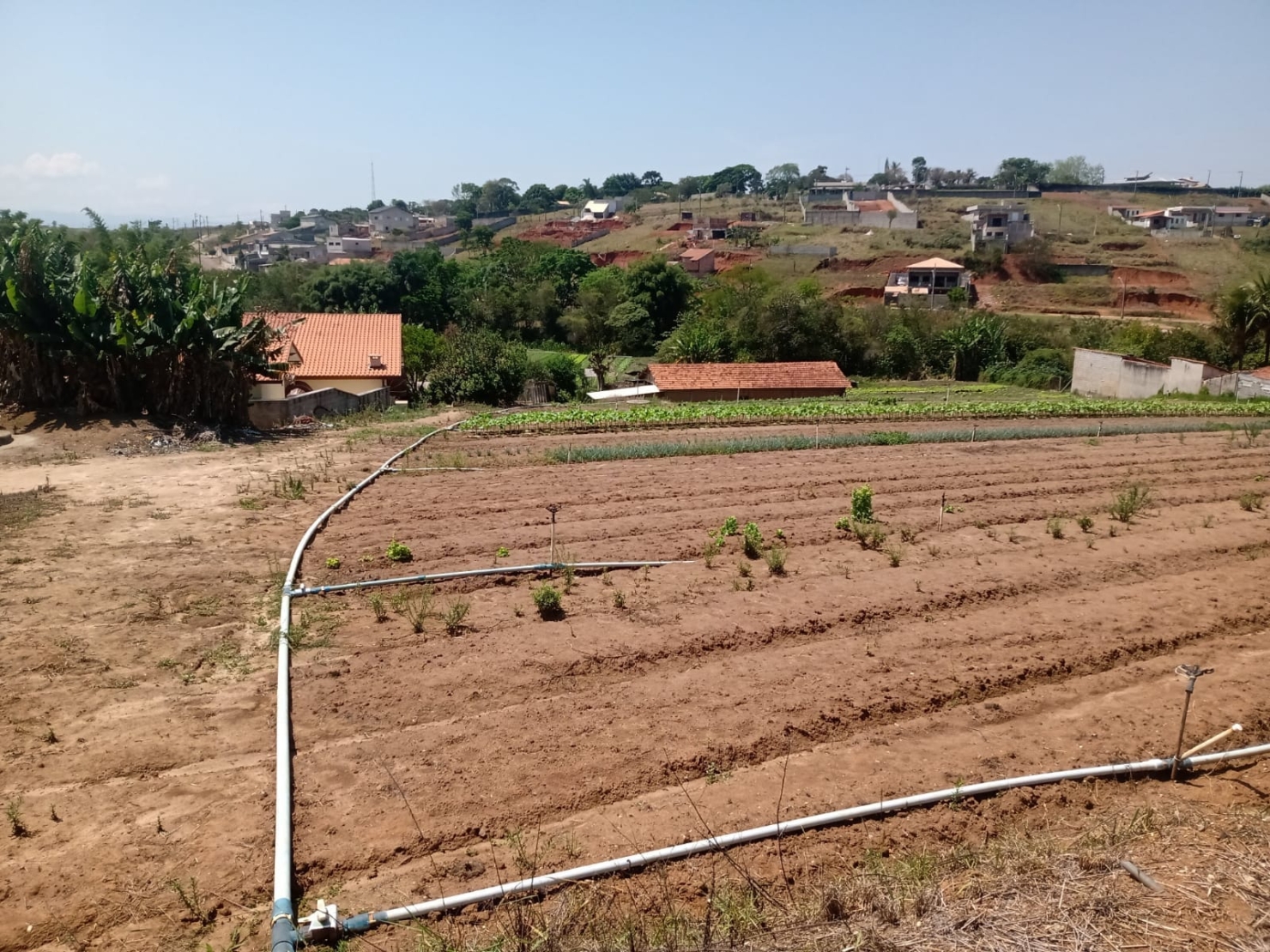 Terreno, 2 hectares - Foto 2