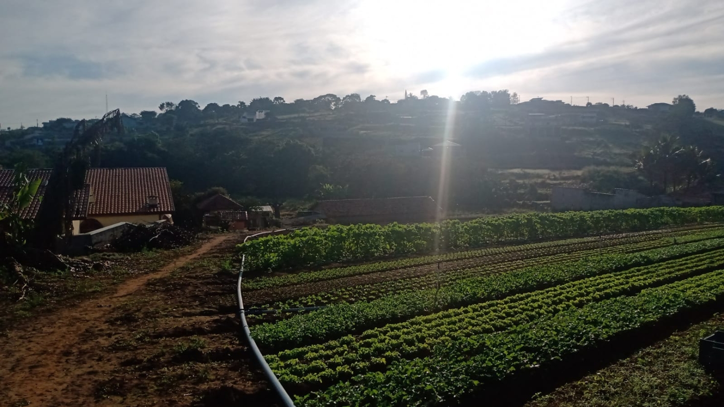 Terreno, 2 hectares - Foto 4
