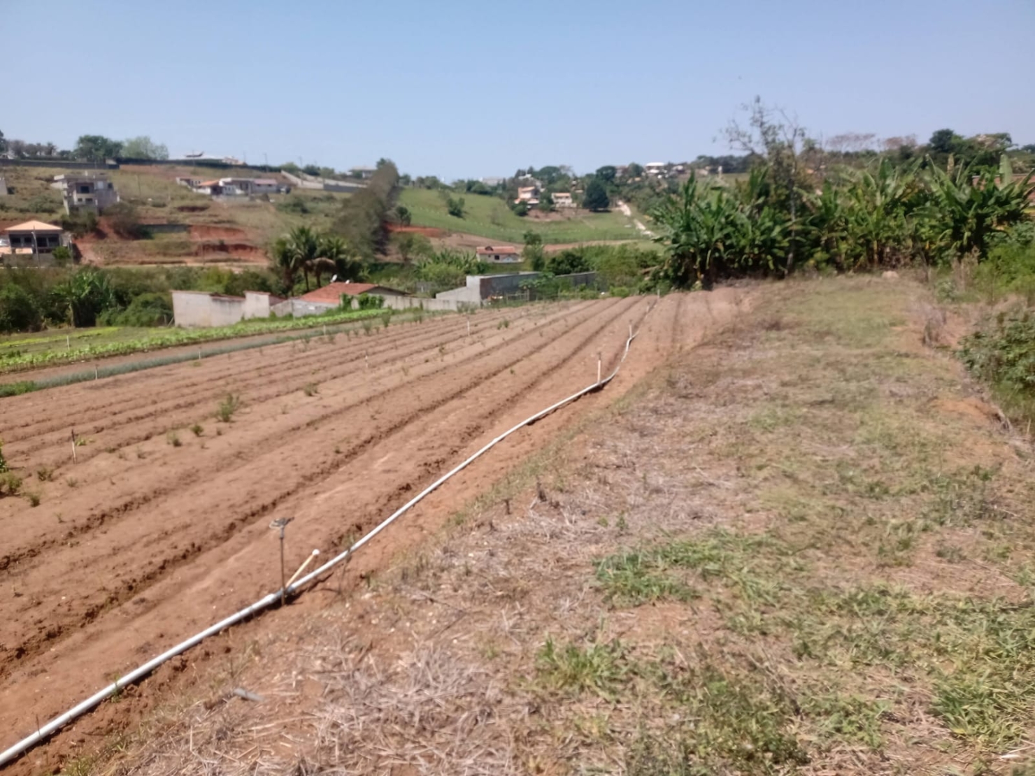 Terreno, 2 hectares - Foto 6