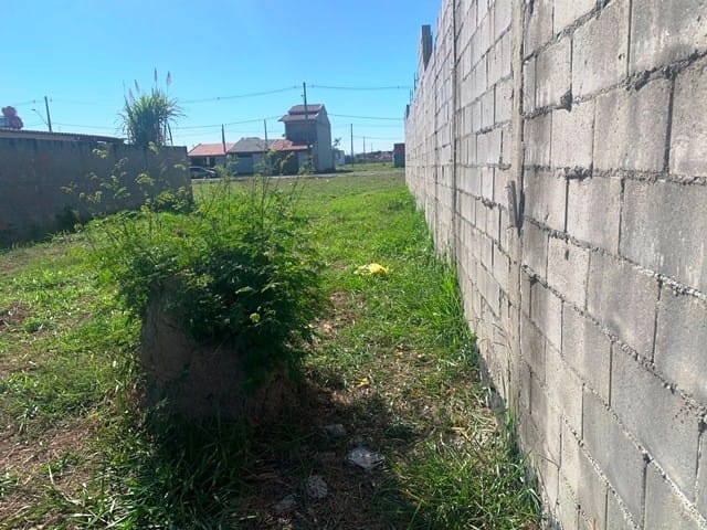 Terreno, 250 m² - Foto 2