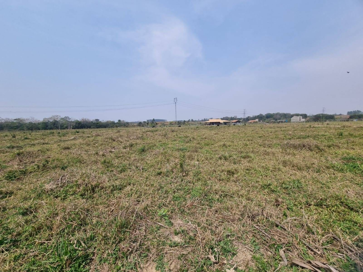 Terreno, 10000 m² - Foto 3