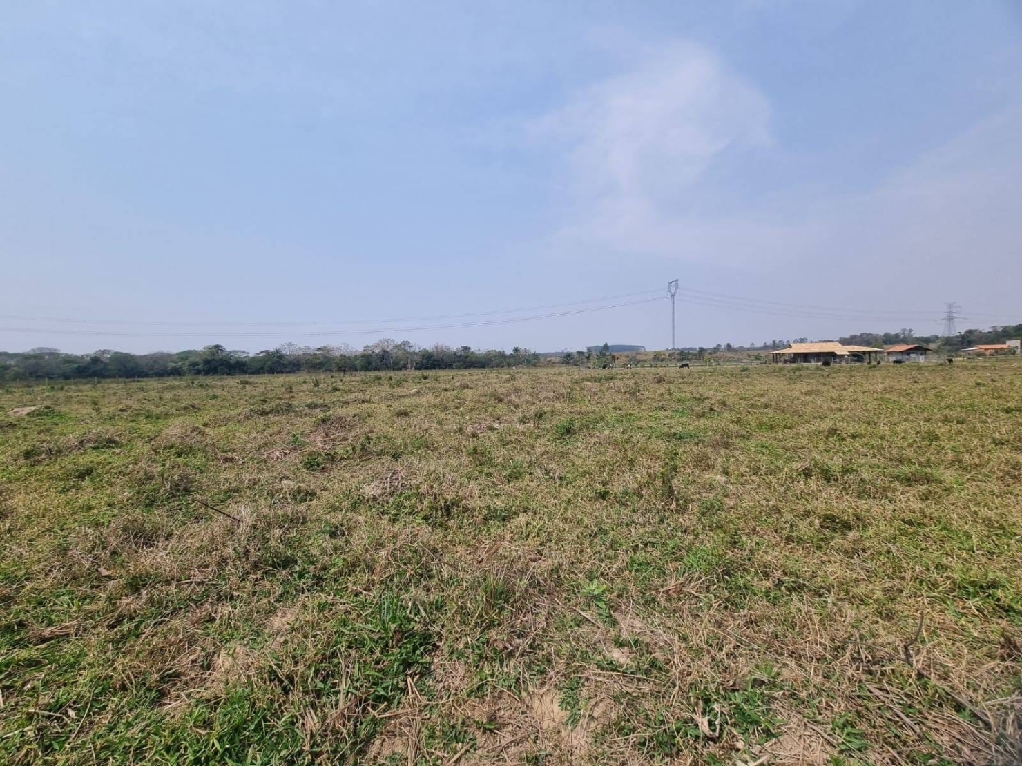 Terreno, 10000 m² - Foto 4