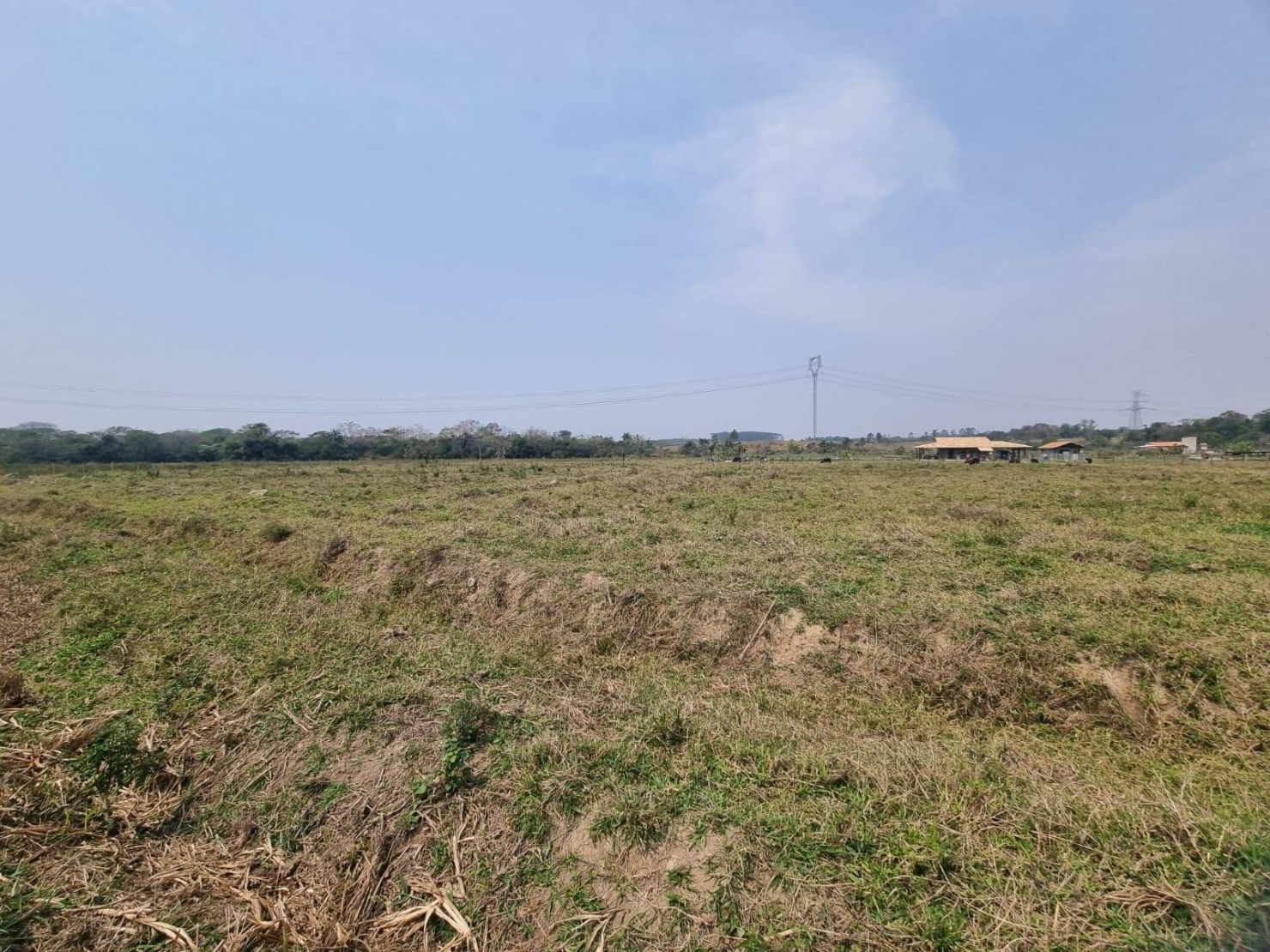Terreno, 10000 m² - Foto 5