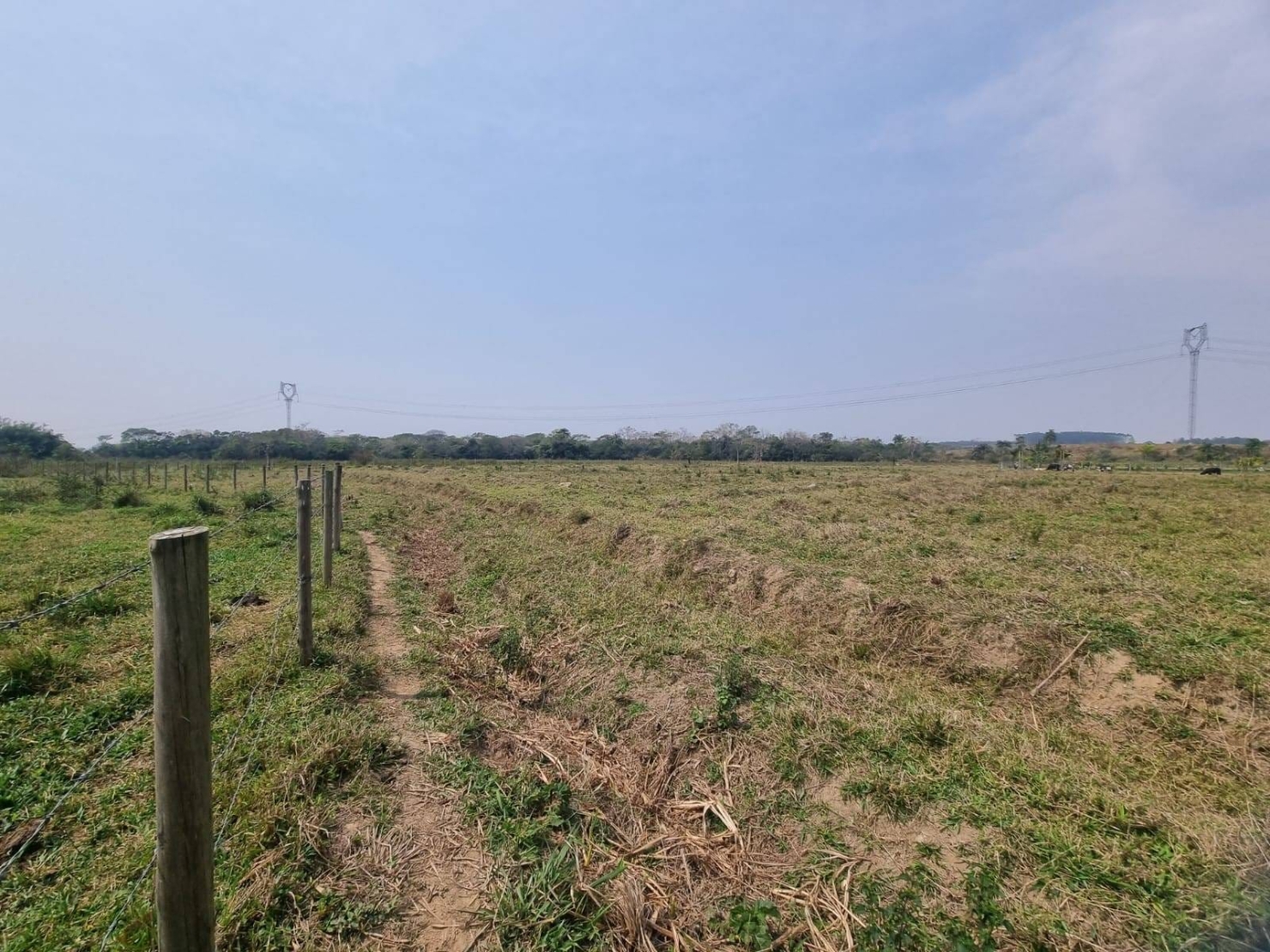 Terreno, 10000 m² - Foto 6