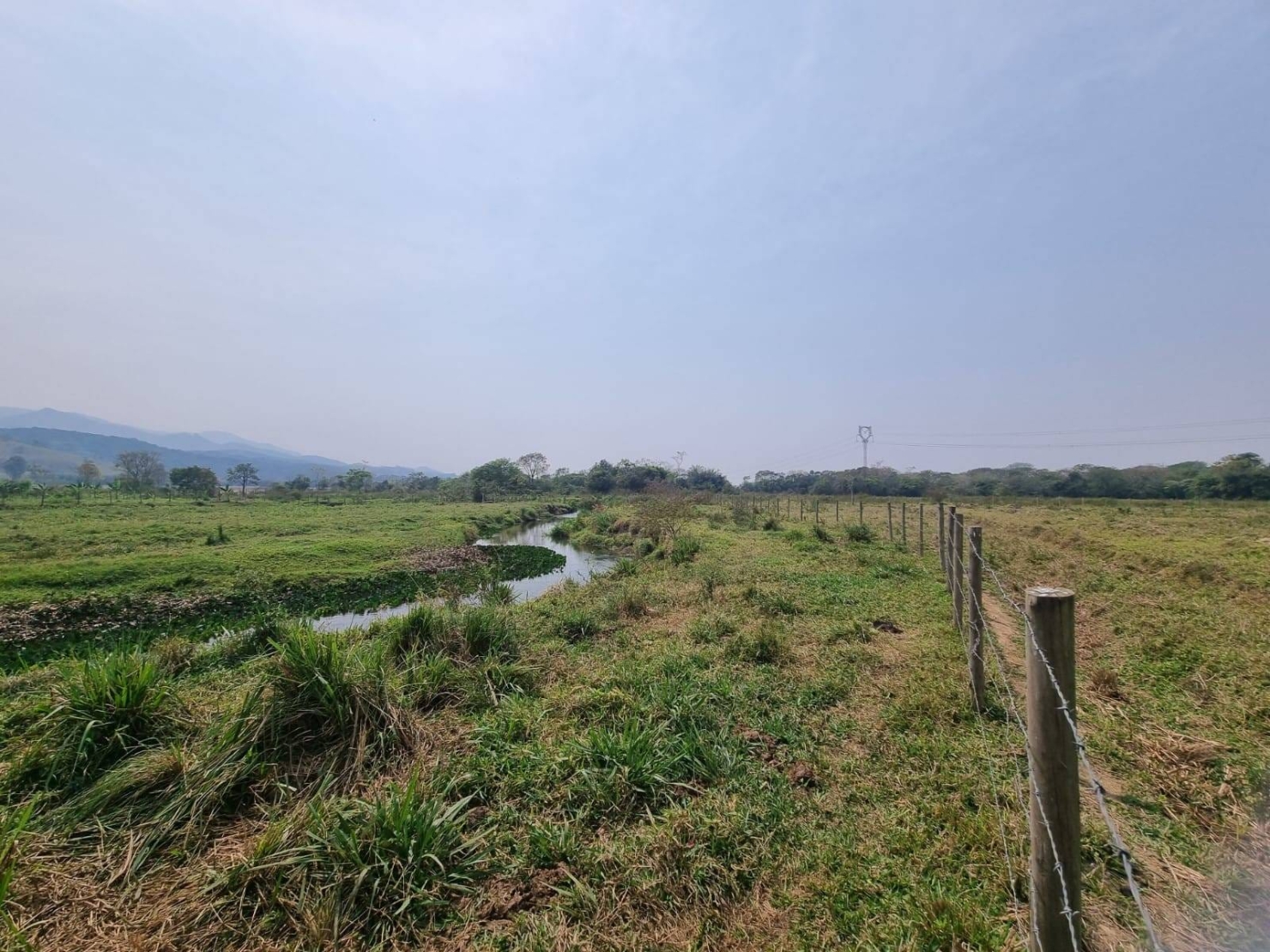 Terreno, 10000 m² - Foto 7