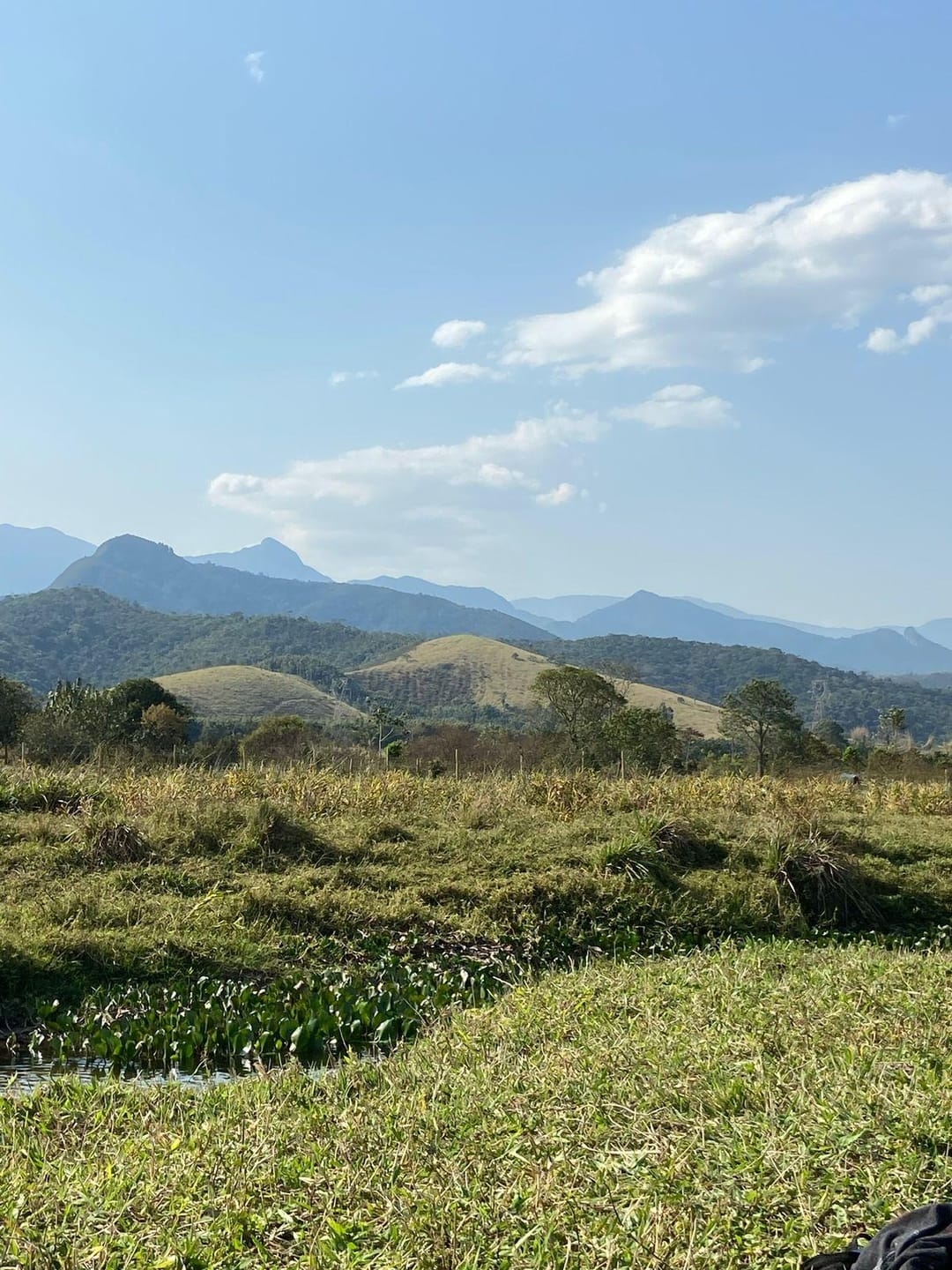 Terreno, 10000 m² - Foto 10