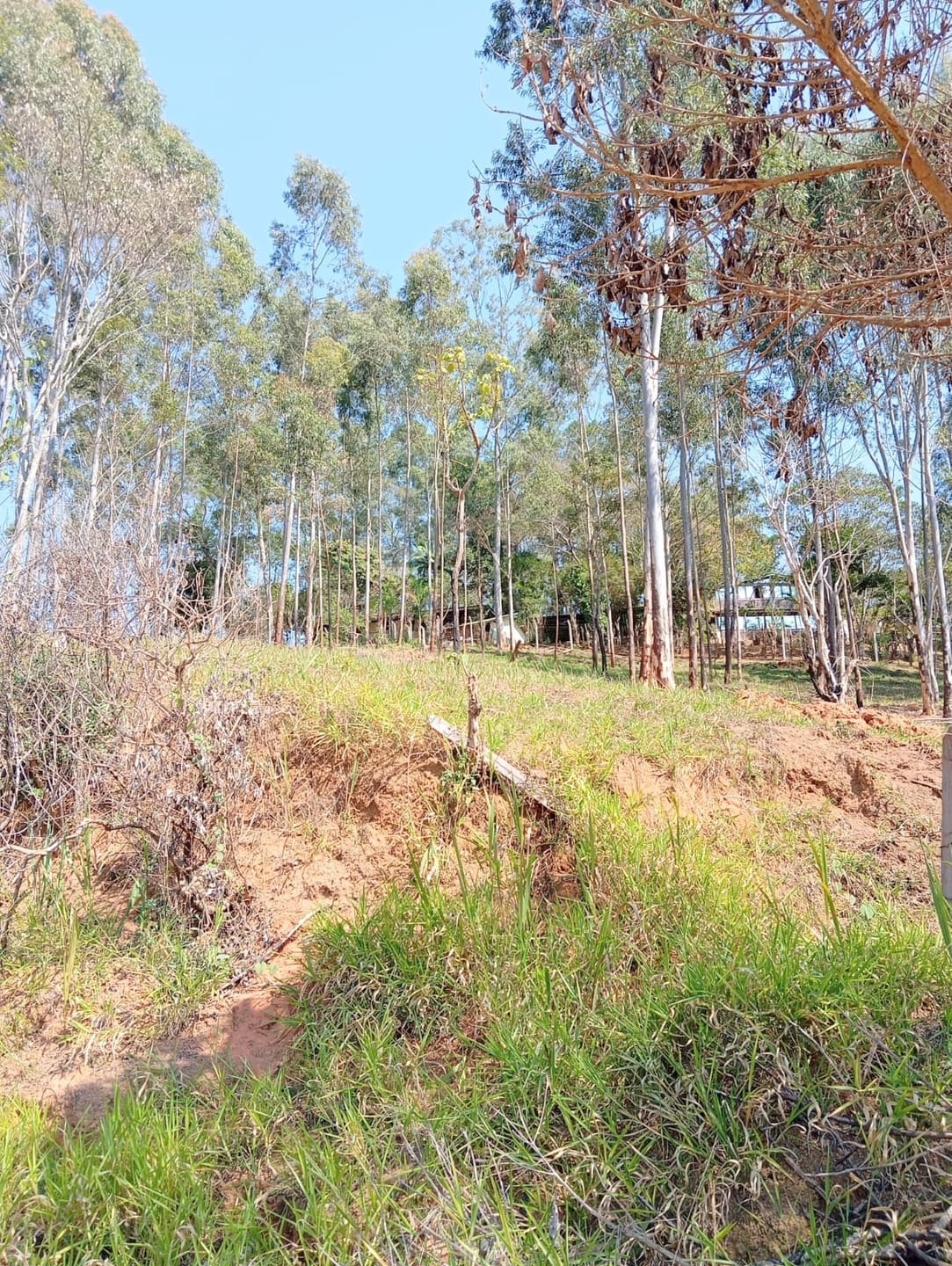 Terreno, 1632 m² - Foto 1