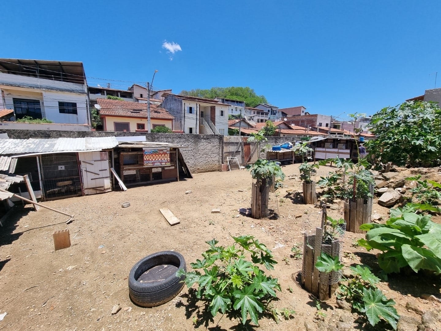 Terreno, 250 m² - Foto 16