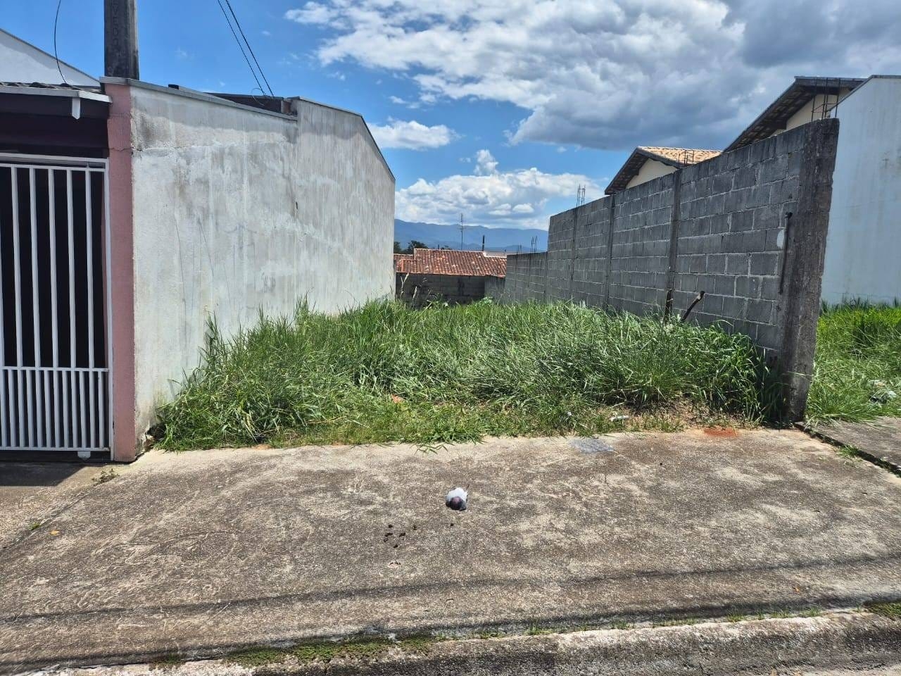 Terreno, 125 m² - Foto 3