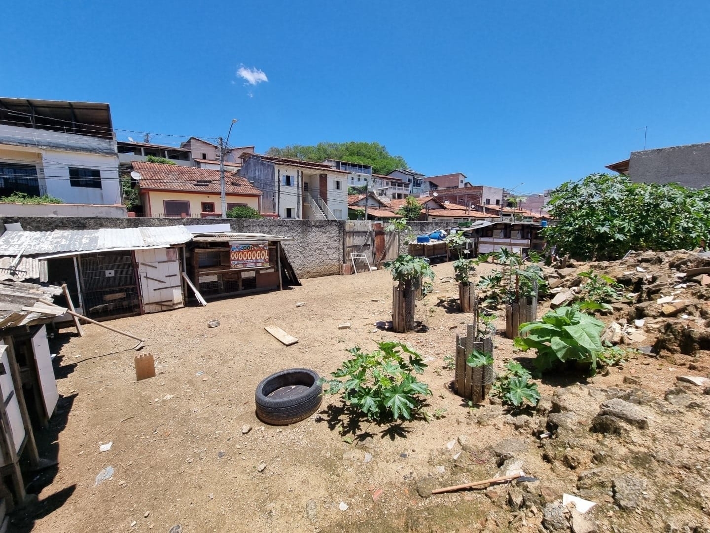 Terreno, 250 m² - Foto 6