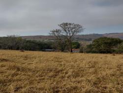 #CH0045_PAL - Sítio para Venda em Taubaté - SP