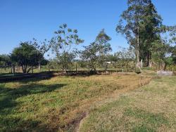 #CH0052 - Sítio para Venda em Potim - SP - 3