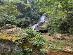 Chácara para Venda em Pindamonhangaba - 4
