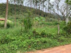 Chácara para Venda em Pindamonhangaba - 5