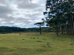 #CH0156 - Chácara para Venda em Cunha - SP - 1