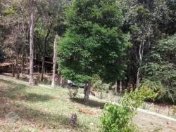 Sítio para Venda em Santo Antônio do Pinhal - 2