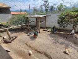 Chácara para Venda em Pindamonhangaba - 3