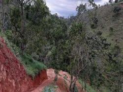 Chácara para Venda em Pindamonhangaba - 3