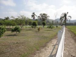 Chácara para Venda em Pindamonhangaba - 4