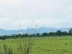 Chácara para Venda em Pindamonhangaba - 3
