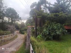 Sítio para Venda em Guaratinguetá - 5