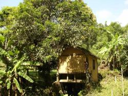 Sítio para Venda em Pindamonhangaba - 2