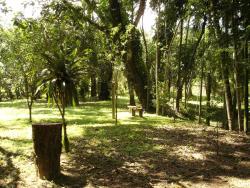 Sítio para Venda em Pindamonhangaba - 5