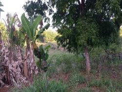 Chácara para Venda em Taubaté - 2