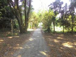 Chácara para Venda em Pindamonhangaba - 3