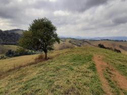Chácara para Venda em São Lourenço - 5