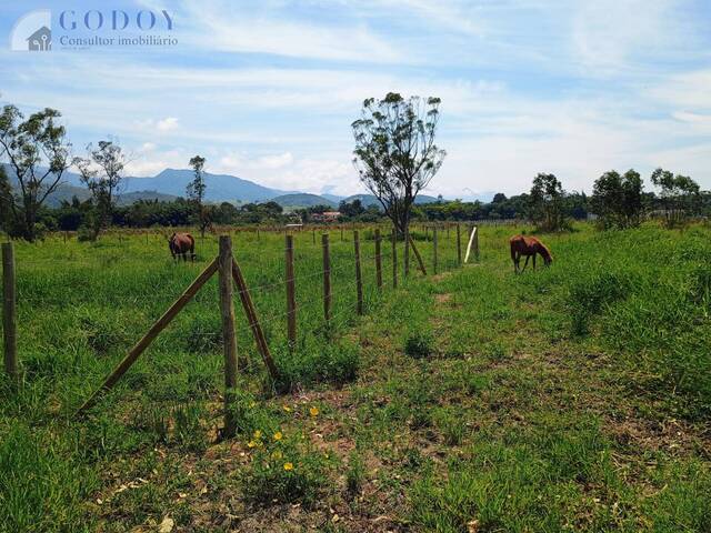 #19254 - Chácara para Venda em Pindamonhangaba - SP - 2