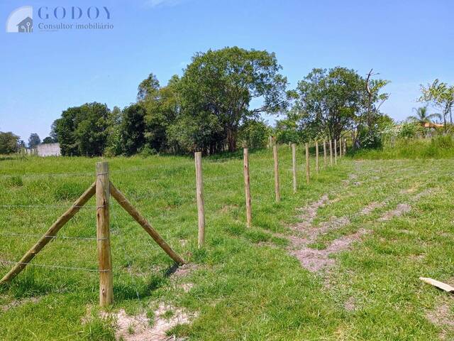 #19254 - Chácara para Venda em Pindamonhangaba - SP - 3