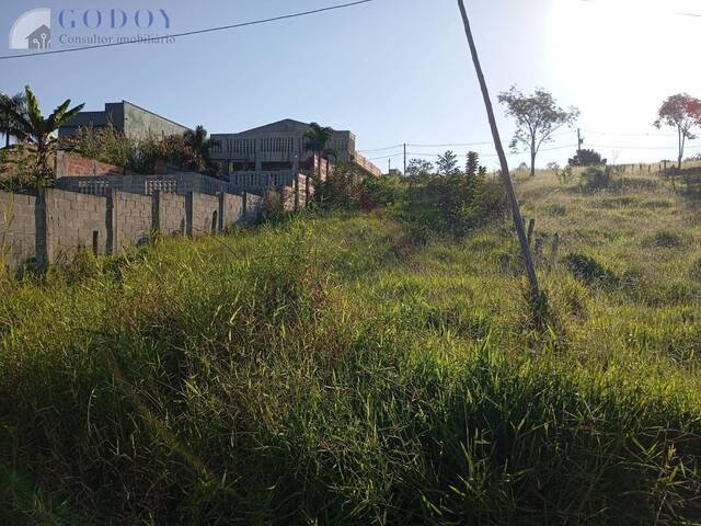 #19273 - Área para Venda em Pindamonhangaba - SP - 1