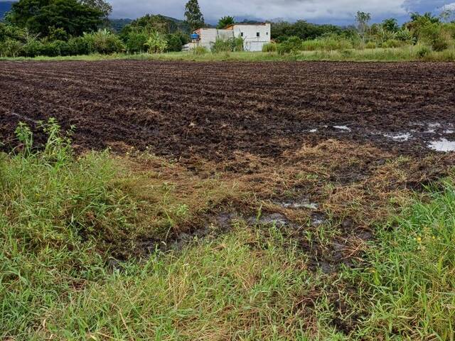 #19279 - Chácara para Venda em Pindamonhangaba - SP - 1