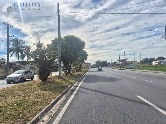 #19326 - Terreno para Venda em Pindamonhangaba - SP - 1
