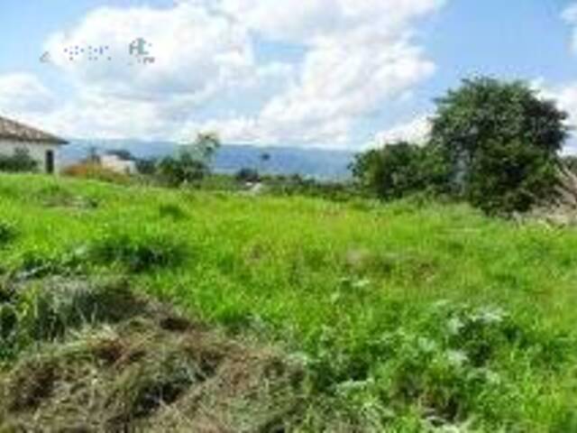 #19467 - Área para Venda em Pindamonhangaba - SP - 3