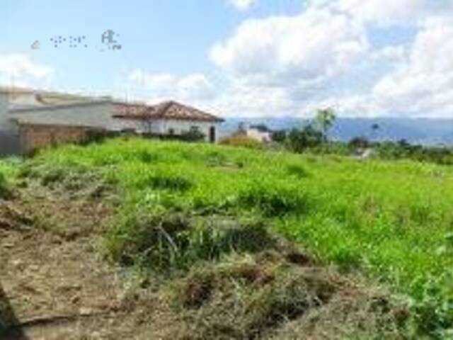 #19467 - Área para Venda em Pindamonhangaba - SP - 1