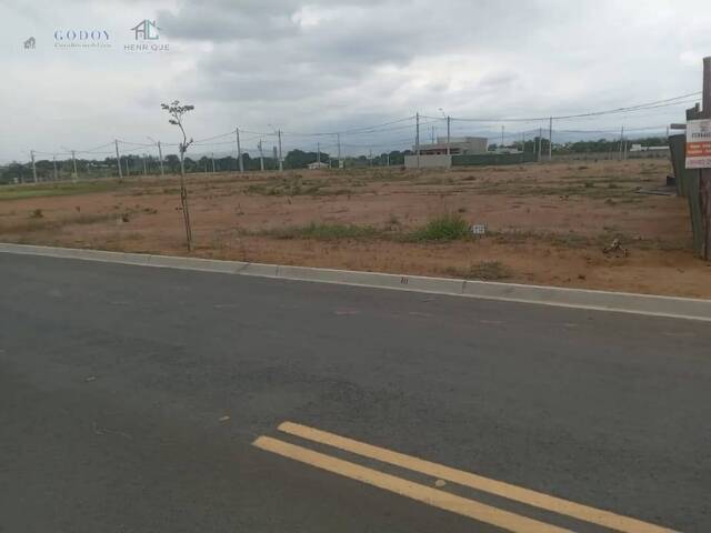 #19565 - Área para Venda em Pindamonhangaba - SP - 3