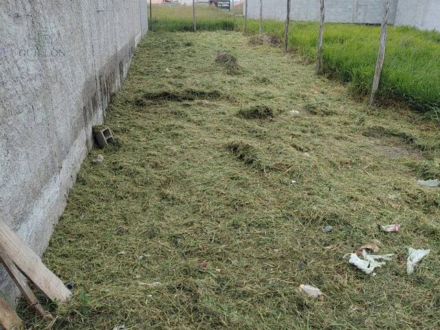 #19749 - Terreno para Venda em Pindamonhangaba - SP - 3