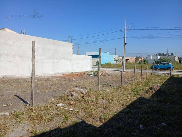 #19749 - Terreno para Venda em Pindamonhangaba - SP - 1