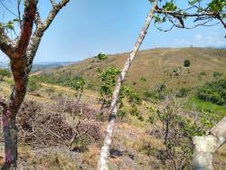 Chácara para Venda em Pindamonhangaba - 5