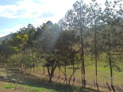 Sítio para Venda em São José dos Campos - 4