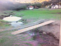 Sítio para Venda em Roseira - 5
