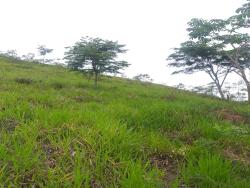 Chácara para Venda em Pindamonhangaba - 2
