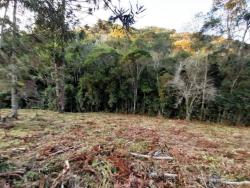 Venda em Paraibuna - Cunha