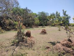 Chácara para Venda em Pindamonhangaba - 4